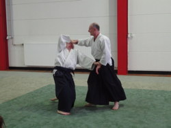 FranckNoel_2_Aikido_Feb10_250w