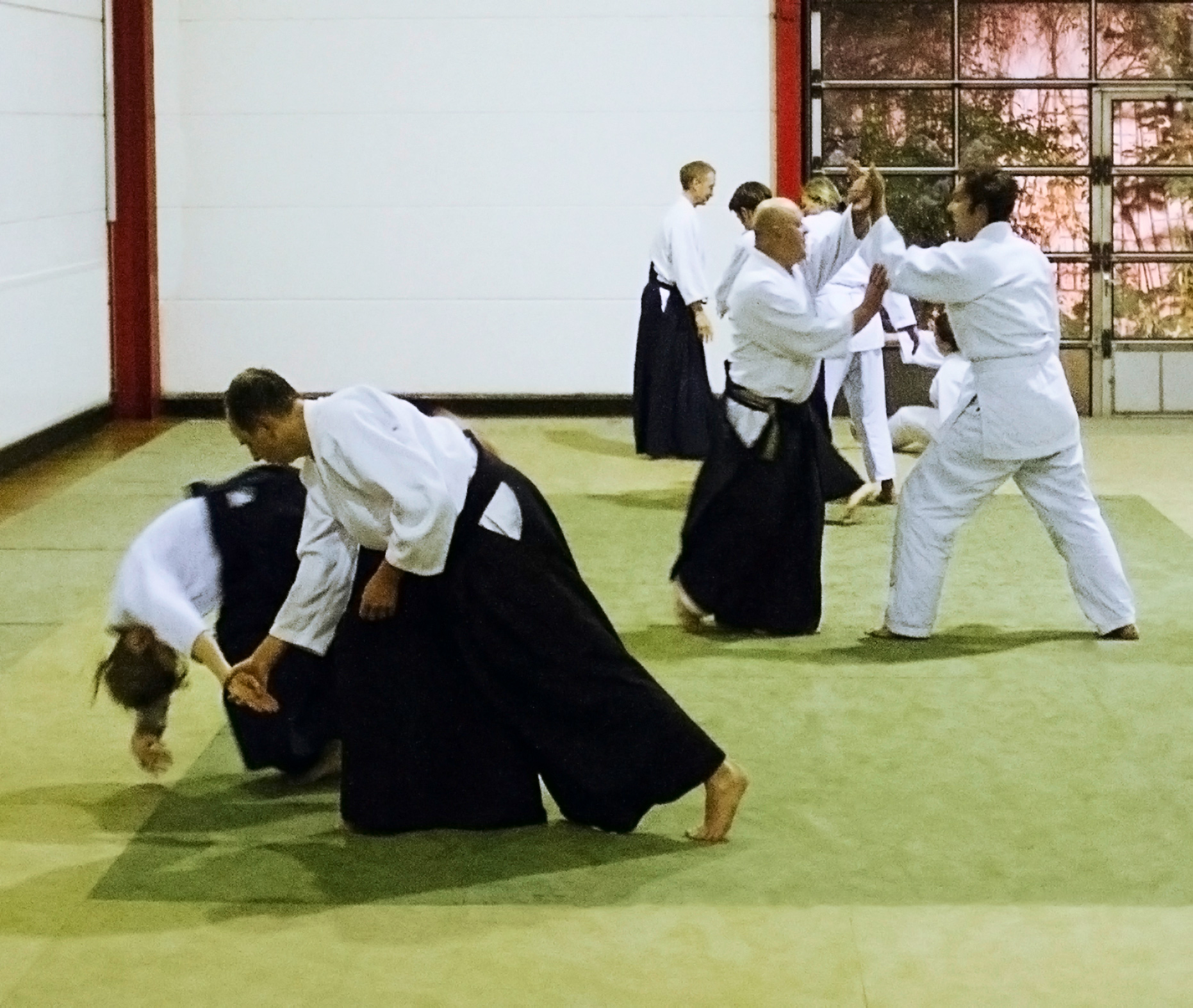aikido_training